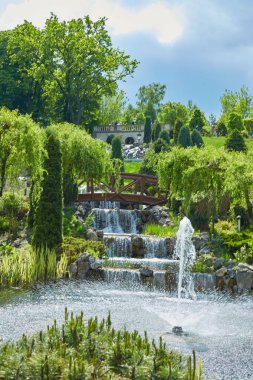 Yazın güzel park manzarası