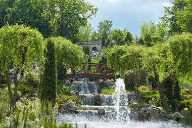 Yazın güzel park manzarası