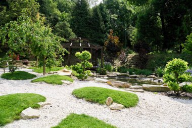 Yazın güzel park manzarası