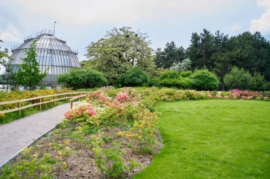 Yazın güzel park manzarası