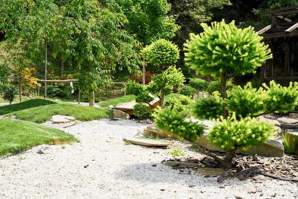 Schöne Parklandschaft Sommer — Stockfoto