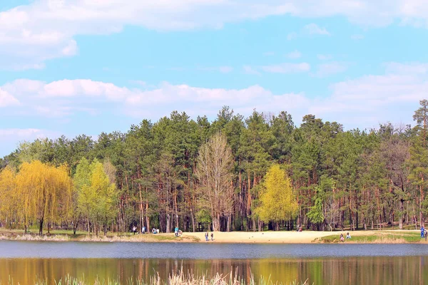 Park gölet kıyısında plaj — Stok fotoğraf