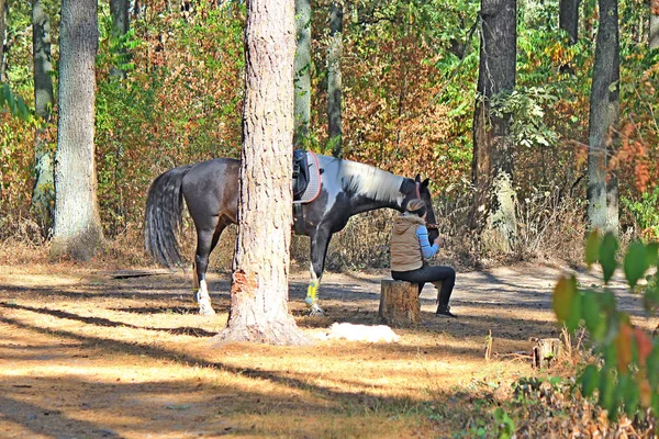 horsewoman with a horse resting in the autumn forest