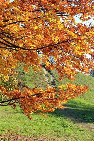 Camino Cuesta Arriba Través Los Colores Brillantes Del Otoño — Foto de Stock