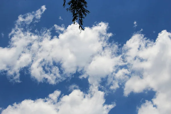 Belas Formas Incomuns Nuvens Céu Verão — Fotografia de Stock