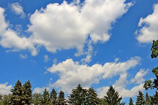 Yazın gökyüzünde güzel, alışılmadık bulutlar.