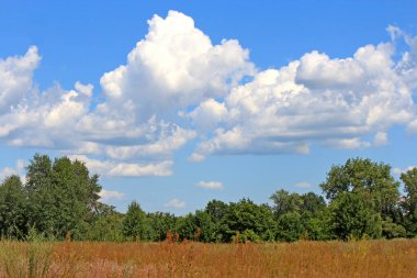 Yazın gökyüzünde sıra dışı bulut şekilleri