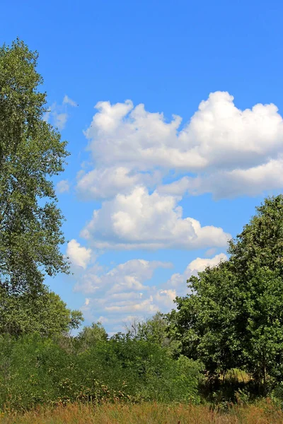 Ungewöhnliche Wolkenformen Sommerhimmel — Stockfoto