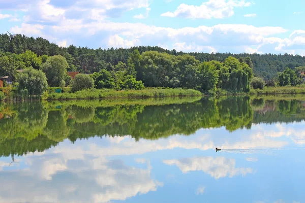 Panoramatický Výhled Letní Jezero Osamělou Kachnou — Stock fotografie