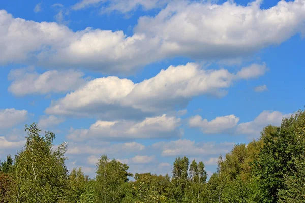 Início Outono Bosque Contra Céu Azul — Fotografia de Stock