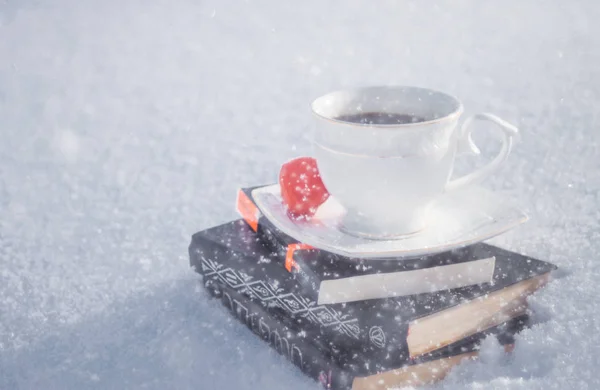 Winter tea. Books in the snow.