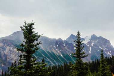 Yaz Anature Rocky Dağları, Lake Louise, Banff, Kanada hiking