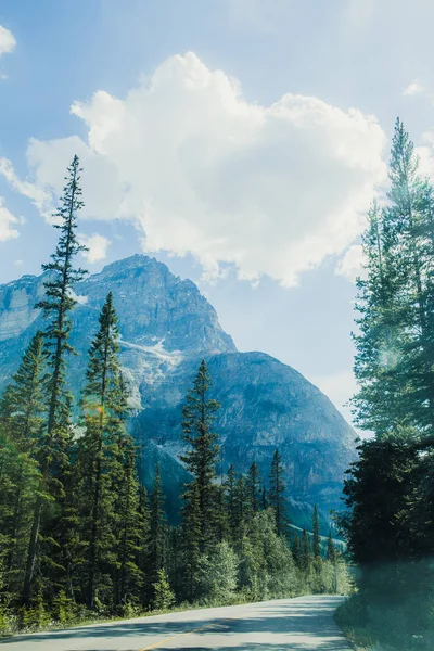 Hiking Summer Anature Rocky Mountains Lake Louise Banff Canada — Stock Photo, Image