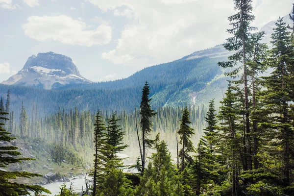 Túrázás Nyári Atermészete Sziklás Hegység Lake Louise Banff Kanada — Stock Fotó