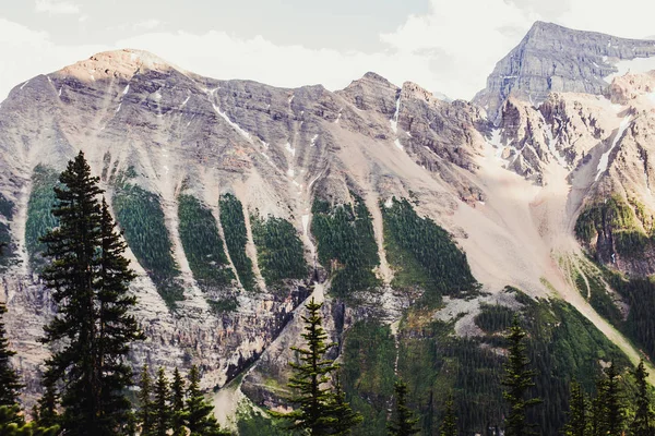 Yaz Anature Rocky Dağları Lake Louise Banff Kanada Hiking — Stok fotoğraf