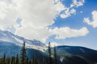 Yaz Anature Rocky Dağları, Lake Louise, Banff, Kanada hiking