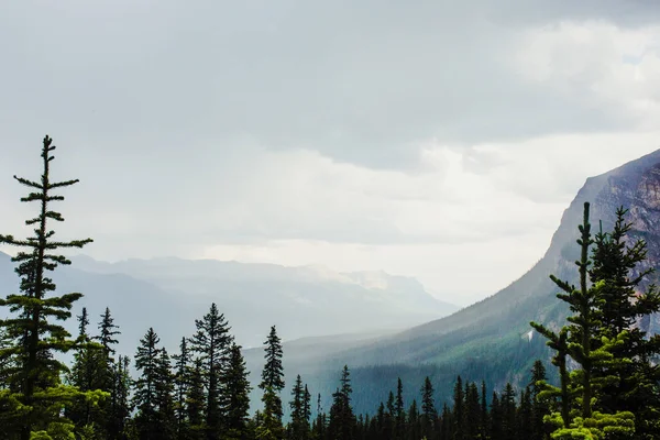 Wandern Sommer Anatomie Der Felsigen Berge Lake Louise Banff Canada — Stockfoto