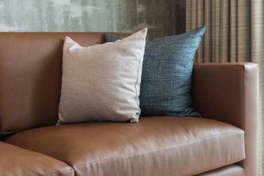 Klasik salon tarz ile klasik koltuk ve yastıklar, iç tasarım konsepti