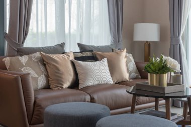 rahat oturma odası tarzı kanepe ve yastıklar, iç tasarım konsepti dizi