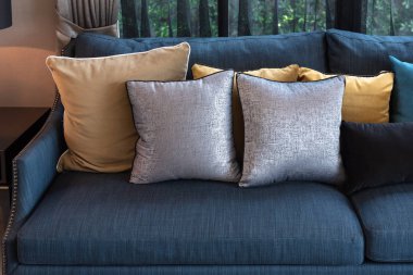 klasik tarzı oturma odası kanepe ve yastıklar, iç dekorasyon tasarım konsepti dizi