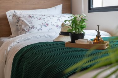 bitki ve kahve fincanı tepsisi