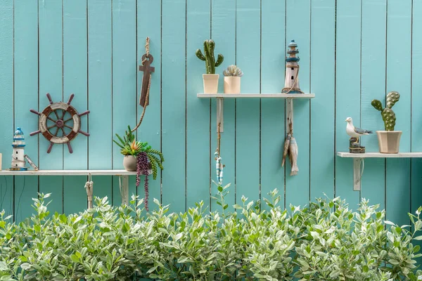 Pared de decoración con conjunto de plantas — Foto de Stock