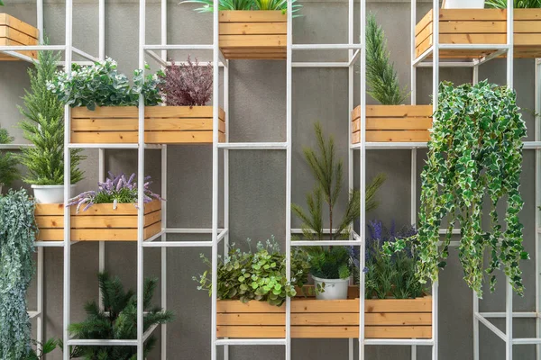 Wand zur Dekoration mit Pflanzen — Stockfoto