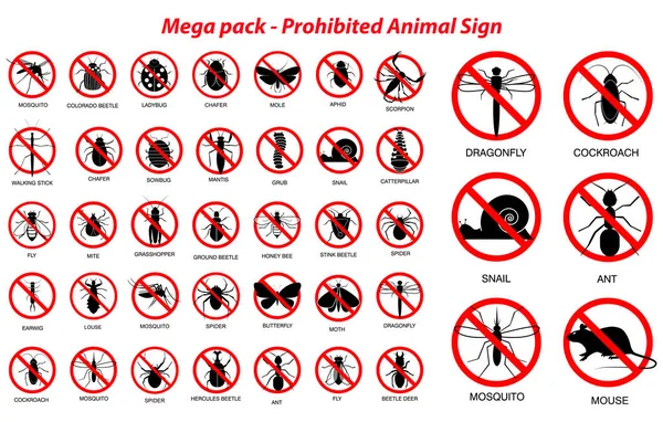 Conjunto de varios insectos y animales prohibidos en la silueta, con nombre de insecto. fácil de modificar — Vector de stock