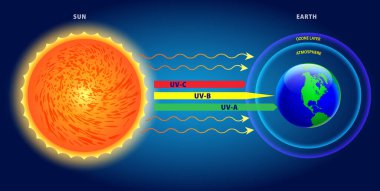 Ultraviyole ultraviyole ultraviyole ultraviyole A UV B ve UV C diyagramı. 3B Görüntü