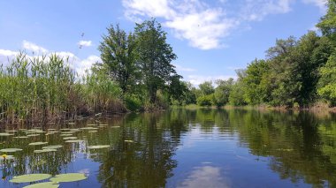 Sıcak güneşli gün sessiz Nehri üzerinde