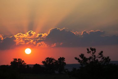 günbatımı ağaçlar üzerinde batan güneşin ışınları ile