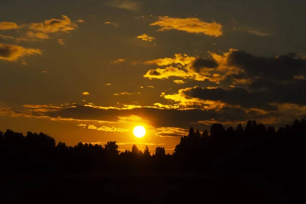 Pôr do sol sobre a floresta — Fotografia de Stock