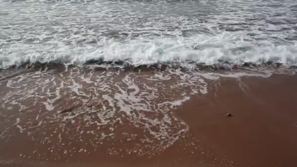 Ondas Nas Margens Mar Vermelho Surf — Vídeo de Stock