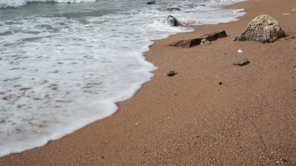 海浪在红海的岸边 — 图库视频影像