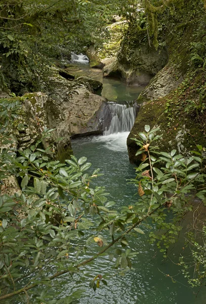 Bir dağ nehir içinde belgili tanımlık vahşi ile geçit.