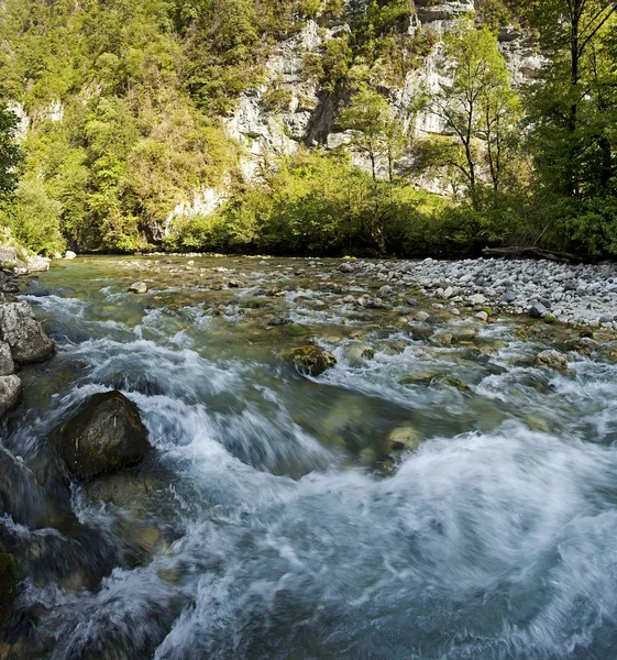 Bir dağ nehir içinde belgili tanımlık vahşi ile geçit.