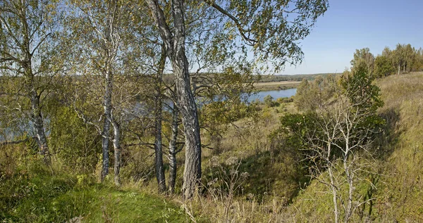 Yaz orman, nehir ve gökyüzü Panoraması.