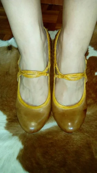 Woman shoes and legs on cows leather, close up photography