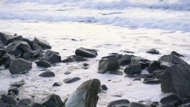 Mladá Dívka Sedí Pláži Obdivovat Nádherný Západ Slunce Hází Kamínky — Stock video