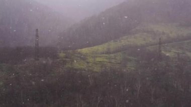 Büyük bir kar fırtınası rüzgar esiyor. Orman 4 k, 30 kare/sn çerçevede sonbahar akşam kar yağıyor