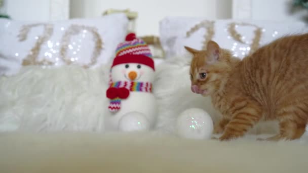 Gatinho vermelho bonito meykun jogando com bolas de Natal com uma decoração de Natal com um boneco de neve.4k, 30fps, 2019 . — Vídeo de Stock