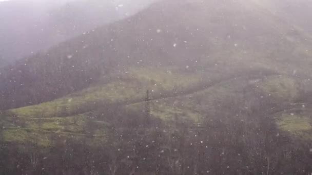 Sterke Onweer Wind Waait Waait Herfst Avond Tegen Achtergrond Van — Stockvideo