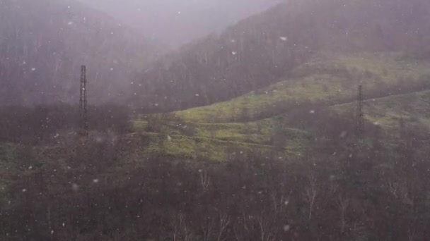Велика снігова буря дме на вітрі. Йде сніг восени увечері на тлі лісу 4k,30fps — стокове відео