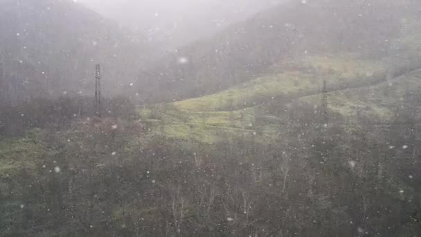 Een grote sneeuwstorm waait in de wind. Het sneeuwt in de herfst avond tegen de achtergrond van de bos slow motion 1080p 30fps — Stockvideo