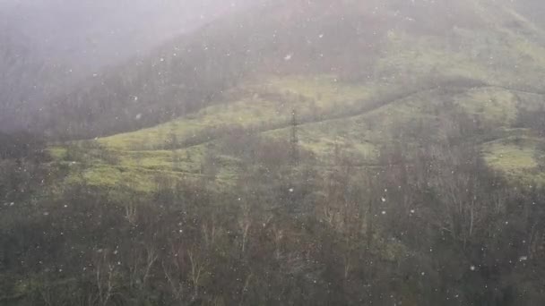 Een grote sneeuwstorm waait in de wind. Het sneeuwt in de herfst avond tegen de achtergrond van de bos slow motion 1080p 30fps — Stockvideo