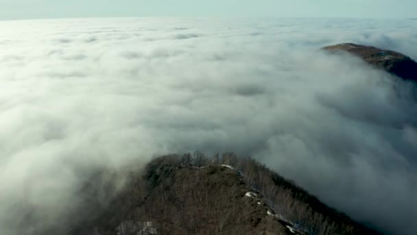 Rare brouillard hivernal matinal sur les toits de la ville de la baie de la mer et des gratte-ciels avant le lever du soleil .