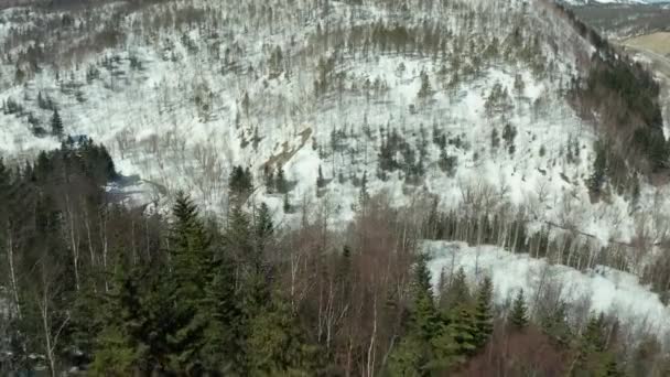 Воздушный вид на лес зимой в яркий солнечный день с большим количеством снега, с высоты птичьего полета на дорогу к холмам . — стоковое видео