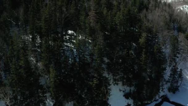 Vue aérienne de la forêt en hiver par une journée ensoleillée avec beaucoup de neige, vue aérienne de la route vers la route dans les collines .