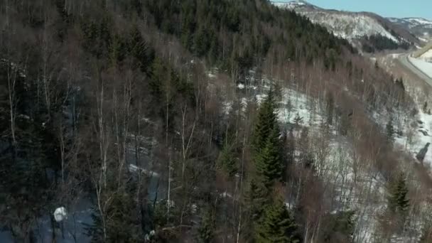 Vista aérea da floresta no inverno em um dia ensolarado brilhante com muita neve, vista dos pássaros-olho da estrada nas colinas . — Vídeo de Stock
