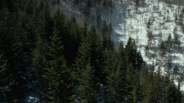 Widok z lotu ptaka na Las zimą na jasny słoneczny dzień z mnóstwem śniegu, ptaków-widok z oczu na drodze do drogi na wzgórzach. — Wideo stockowe